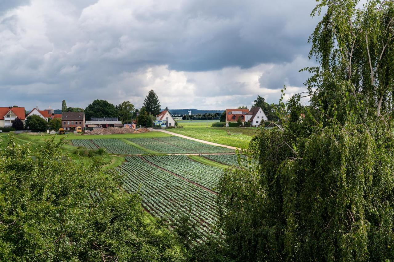 Hotel Gruene Elster Фюрт Экстерьер фото
